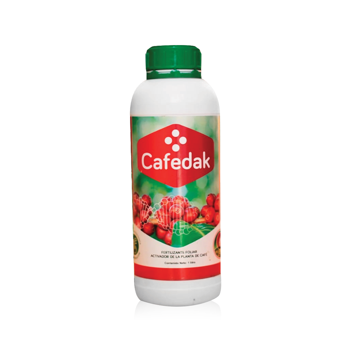 Cafedak 1L