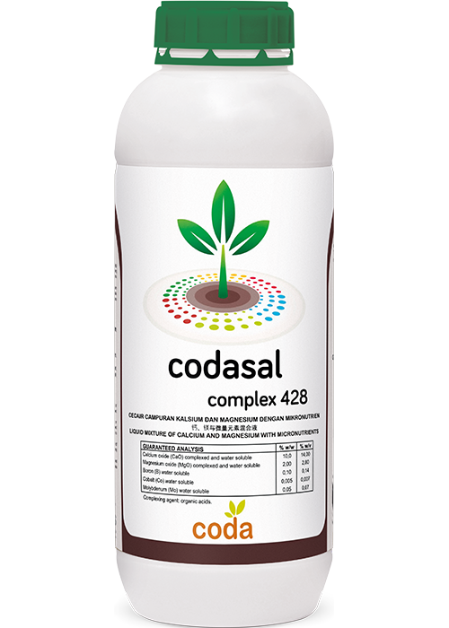 Codasal complex (1l)